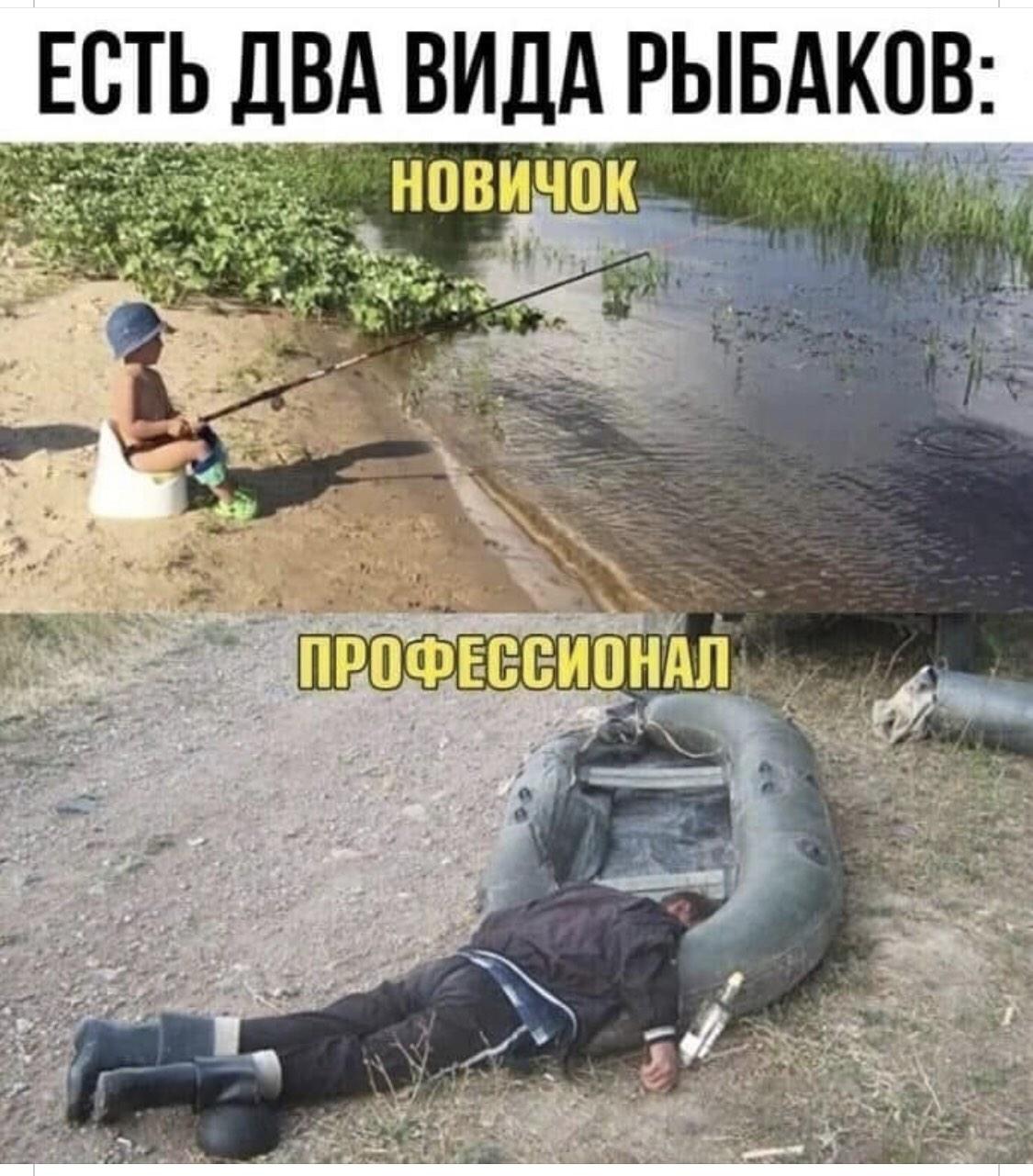Везёт новичкам