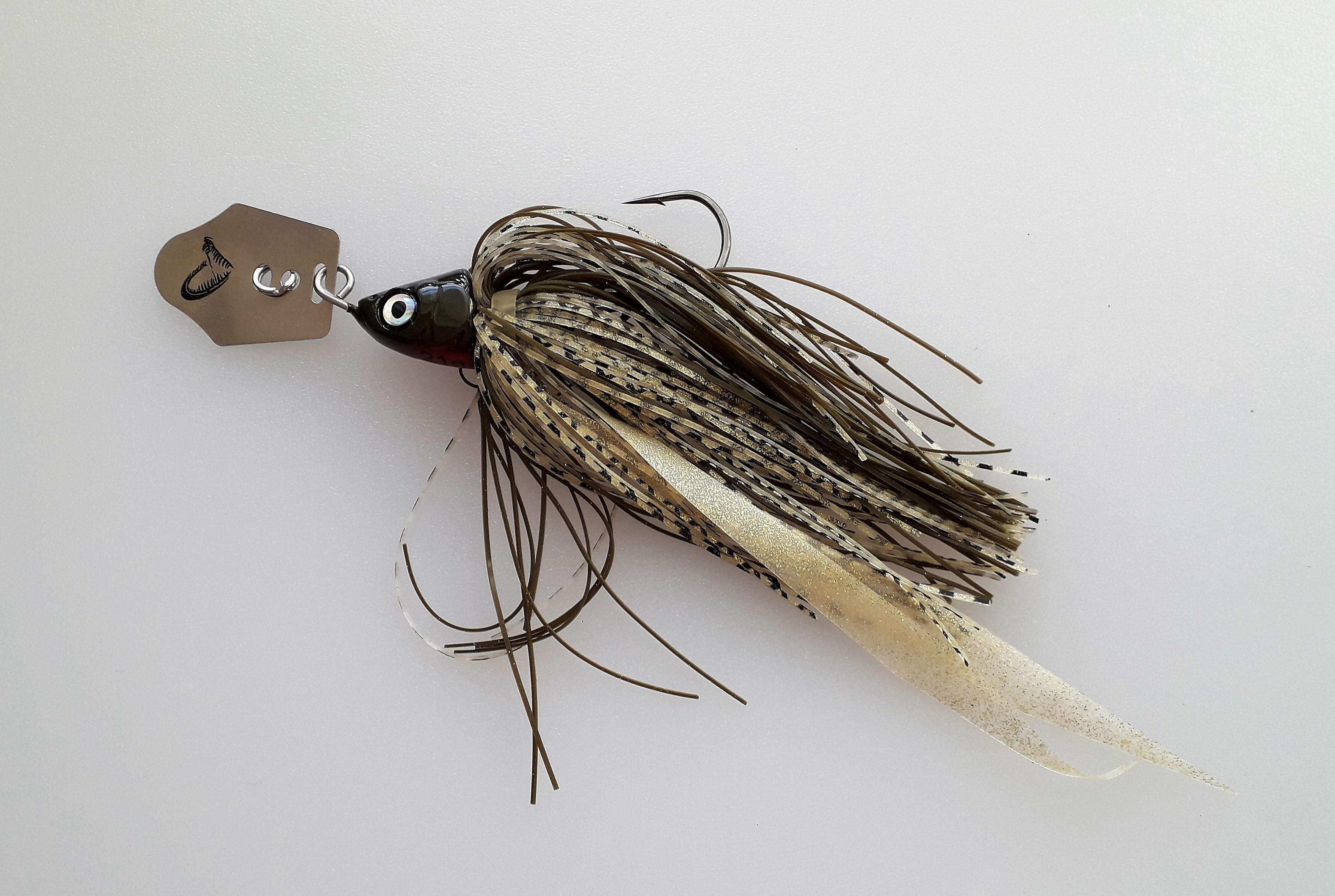Chatterbait Live Webcam